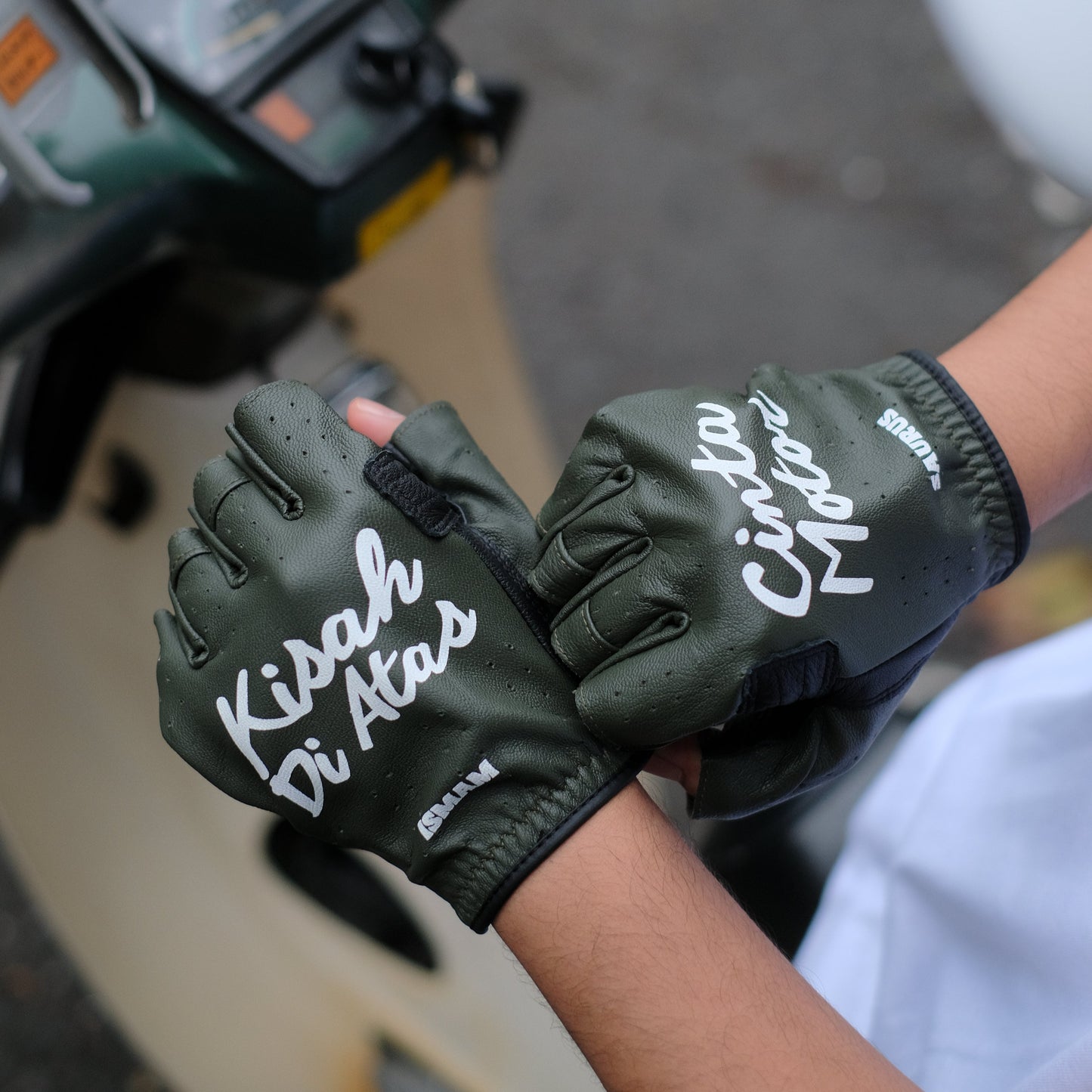 Northy x Ismam Saurus Official Merchandise Leather Gloves