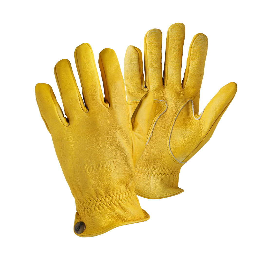 Reitz Leather Gloves