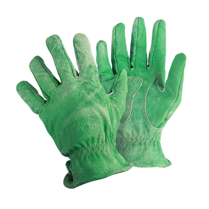 Reitz Leather Gloves